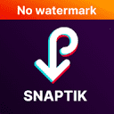 TikTok Video Download